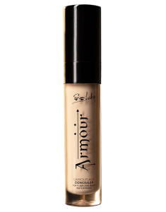 Armour Concealer 757226226010